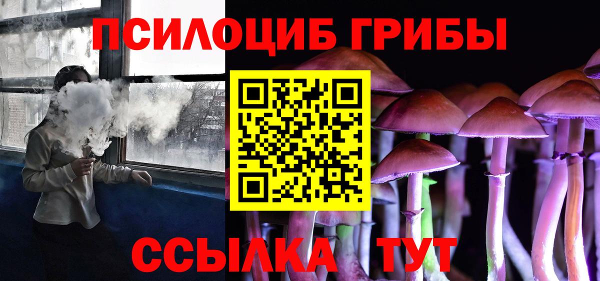 Черкесск  Галлюциногенные грибы прущие грибы  Вход с VPN 