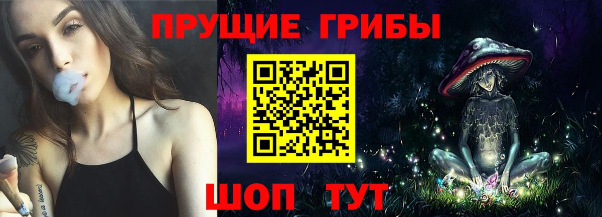 Галлюциногенные грибы прущие грибы Черкесск